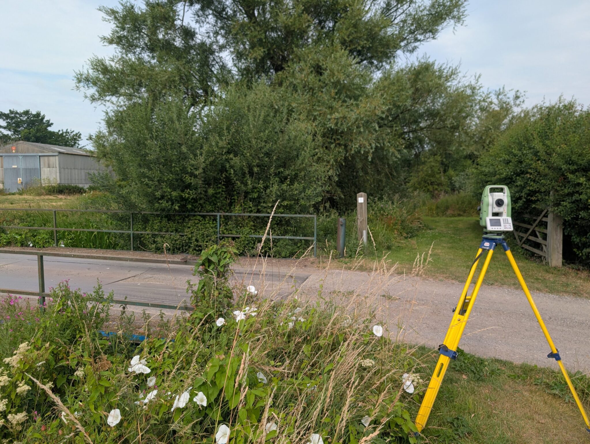Survey Bridge